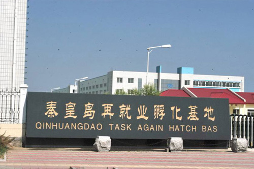 微商新手代理正道藍(lán)莓花青素產(chǎn)品好？（圖）_2