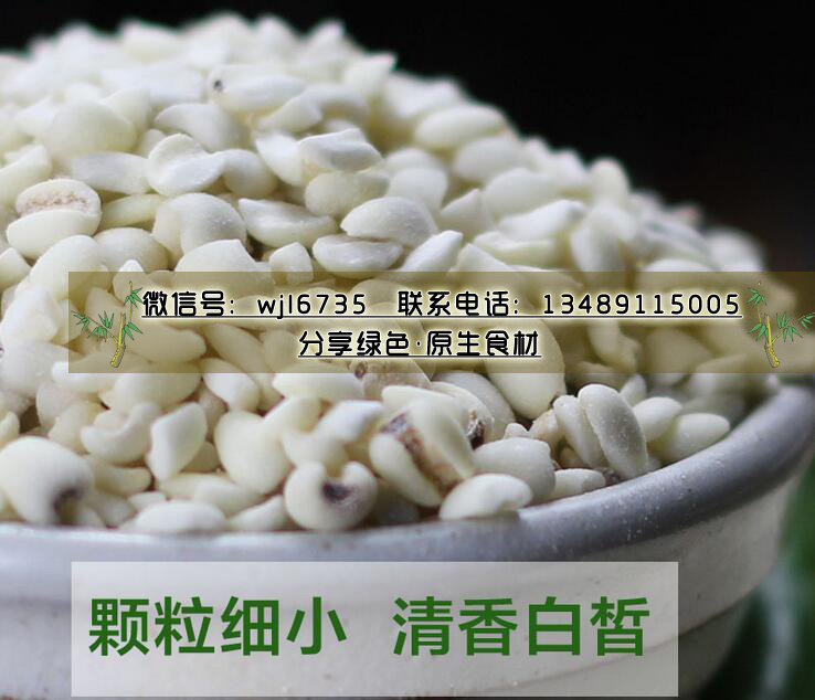 福建寧化薏米500g薏苡仁 清暑養(yǎng)生糯薏米農(nóng)產(chǎn)品干貨食品五谷雜糧_1