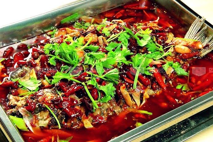 廣東肇慶哪里有重慶烤活魚培訓(xùn) （圖）_1