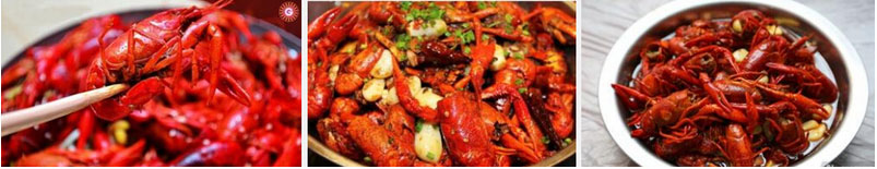 廣州哪里有油燜大蝦學(xué)（圖）_1