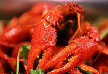 湖南常德口味蝦技術(shù)培訓(xùn)學(xué)校（圖）_2