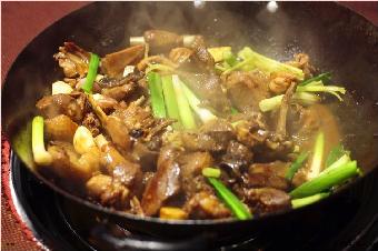 廣西哪里可以學(xué)大自然醉鵝（圖）_1