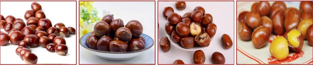 江西哪里有炒干貨技術(shù)學習（圖）_2