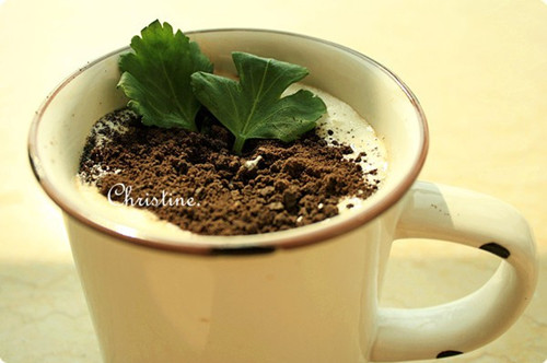 對位置選擇有更多的了解，飲品店加盟發(fā)展更光明（圖）_1