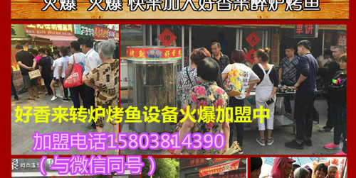 鄢陵轉(zhuǎn)爐烤魚專用爐多錢一臺_2