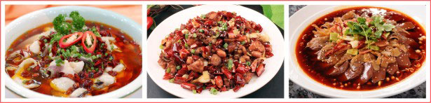 川菜在廣州哪里有學(xué)，專業(yè)培訓(xùn)（圖）_2