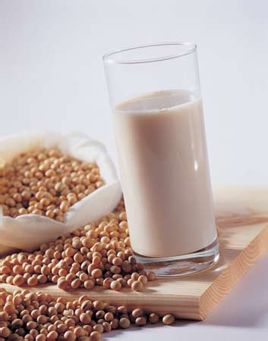 婁底哪里可以學(xué)豆?jié){技術(shù)（圖）_1