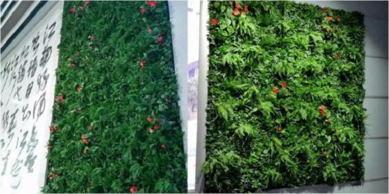 長沙仿真植物墻廠家（圖）_1
