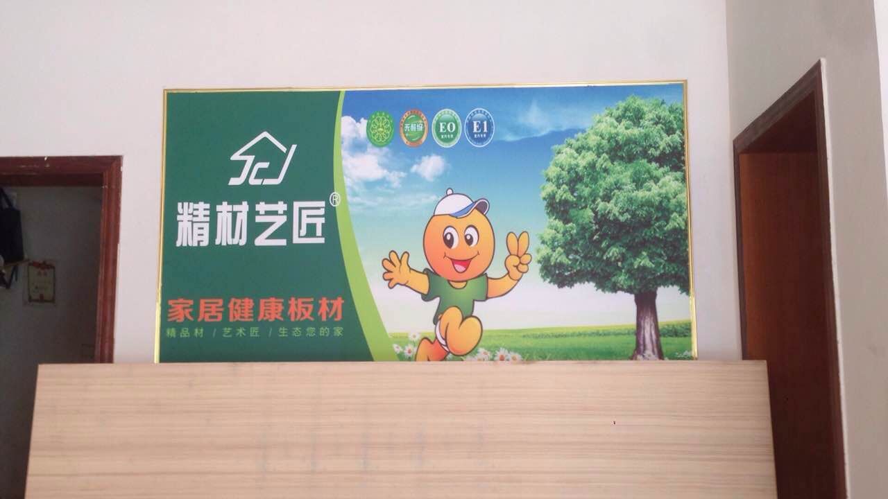 2017装修板材品牌精材艺匠湖北通山专卖店（图）_4