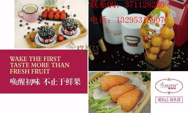 雪蒂斯鮮果冰淇淋加盟熱線（圖）_1