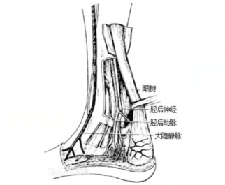王九正理療貼膏藥改善腰腿疼立竿見影_1