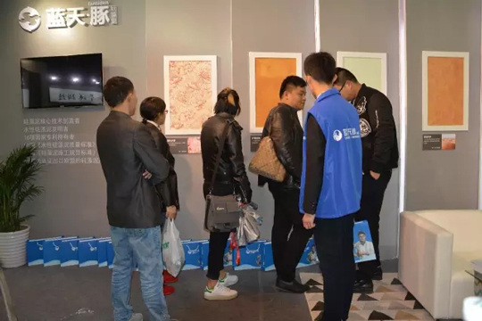 藍(lán)天豚硅藻泥“墻”勢(shì)來襲，引爆2017上海建博會(huì)（圖）_7