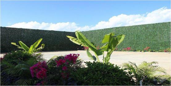 青島仿真草坪價格_1