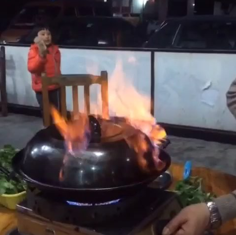 市橋哪里能找到學(xué)火焰醉鵝的培訓(xùn)學(xué)校（圖）_1