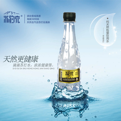 你所不知道的蘇約克重碳酸鈣鈉礦泉水的營養(yǎng)價值 重碳酸鈣鈉礦泉水的作用（圖）_1