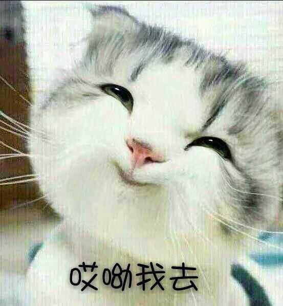 怎么快速預約上海美國簽證時間（圖）_1