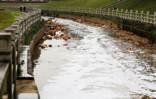 江西十里河水污染突變牛奶河（圖）_1