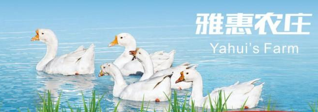 雅惠鸭脖加盟费用多少钱_雅惠鸭脖加盟条件_雅惠鸭脖加盟电话_1