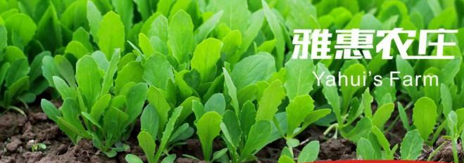 雅惠鸭脖加盟费用多少钱_雅惠鸭脖加盟条件_雅惠鸭脖加盟电话_6