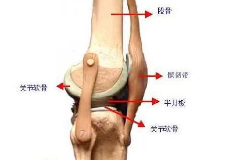 怎样改善骨刺最安全有效，好的最快？_2