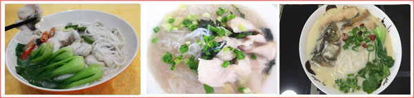 哪里有特色魚粉培訓(xùn)_1