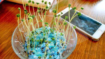 品牌墻衣繡時(shí)尚墻衣廠家誠(chéng)招全國(guó)代理商加盟_4