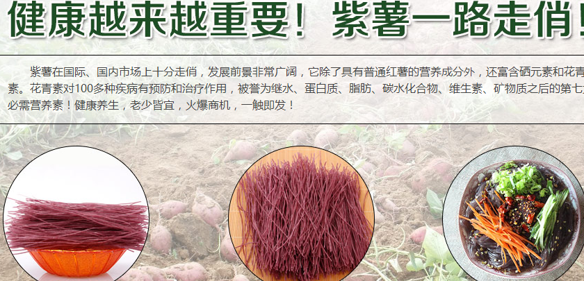 久润紫薯粉条加盟电话_久润紫薯粉条加盟条件费用_2