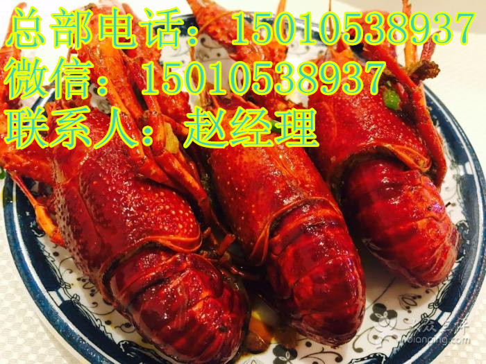 簋街胡大小龍蝦技術(shù)培訓(xùn)總部_3