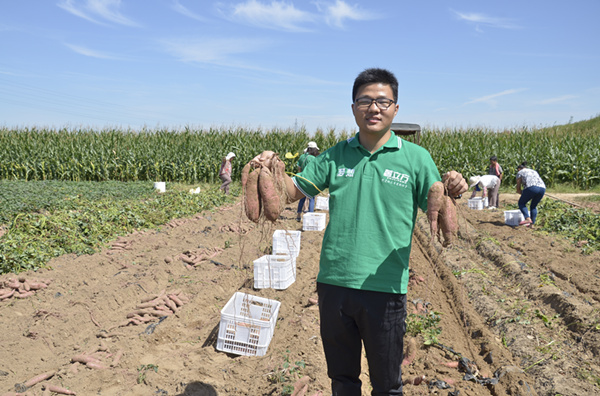 泉城烤薯打造農(nóng)業(yè)新形態(tài) 助力農(nóng)業(yè)供給側(cè)改革（圖）_1
