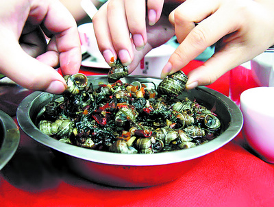 廣州哪里有學(xué)炒田螺，學(xué)炒田螺哪里好（圖）_2