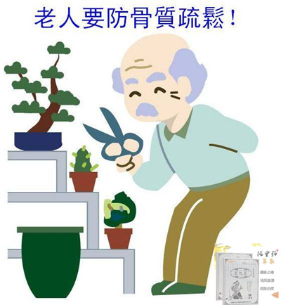 老人改善骨質(zhì)疏松用王九正貼效果好嗎_1