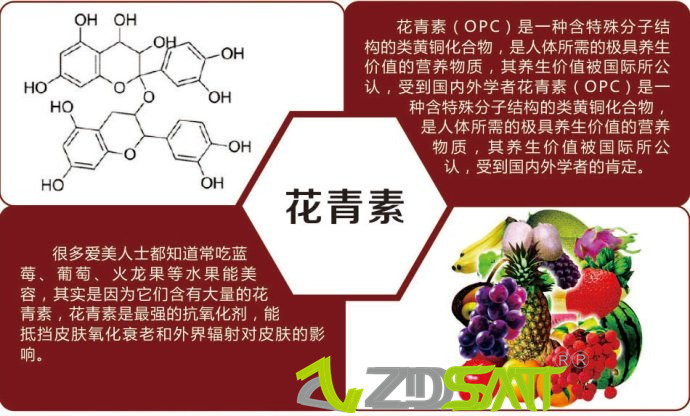 鸡毛飞上天，做生意要靠智慧（图）_3