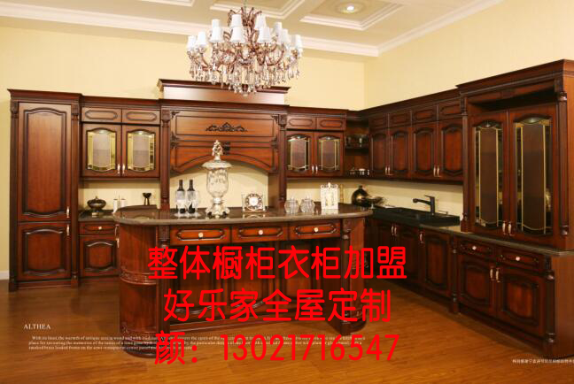 山東全屋定制家具品牌加盟，投資要投人，好樂家超優(yōu)勢(shì)。_1