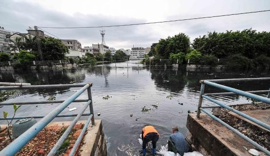 投放魚飼料致水污染賠償29118元（圖）_1