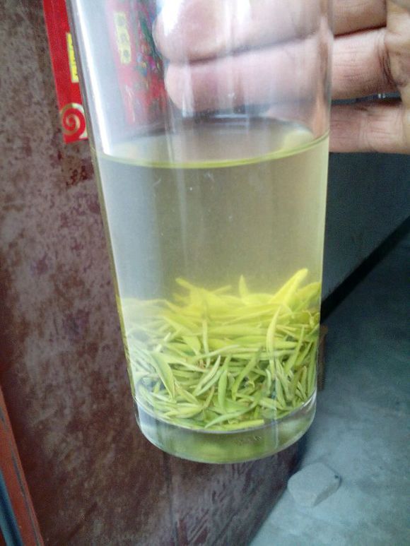 信陽毛尖什么時(shí)候喝最好？茶友須知的講究?。▓D）_1