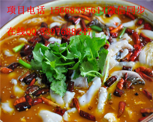 【3天培訓(xùn)】當(dāng)大廚 正宗酸菜魚加盟輕松無憂！_2