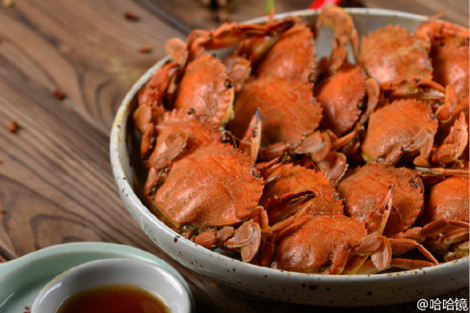 我想開(kāi)一家哈哈鏡鴨脖店 哈哈鏡技術(shù)培訓(xùn)費(fèi)多少錢(qián)_1