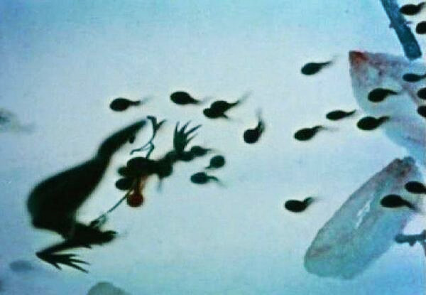 中國動漫IP“走出去”：向全球發(fā)出“中國聲音”_2