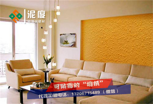 硅藻泥墻面裝修的后期改如何進(jìn)行維護(hù)？泥度（圖）_2