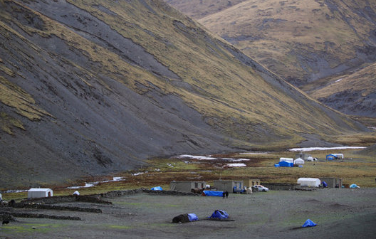 艱辛！虔草冬蟲夏草采挖歷程，看完你還覺得它貴嗎？（圖）_1