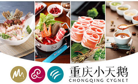 重慶小天鵝加盟熱線_2