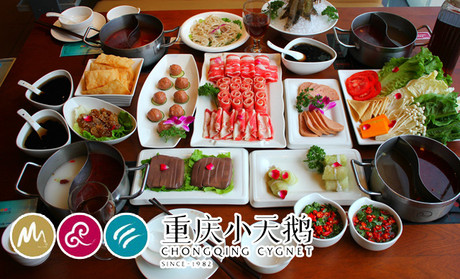 重慶小天鵝加盟熱線_6