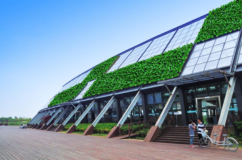 長(zhǎng)沙仿真植物墻廠家_4