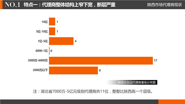 薇蔻帶你讀懂陜西化妝品代理商現(xiàn)狀（圖）_2