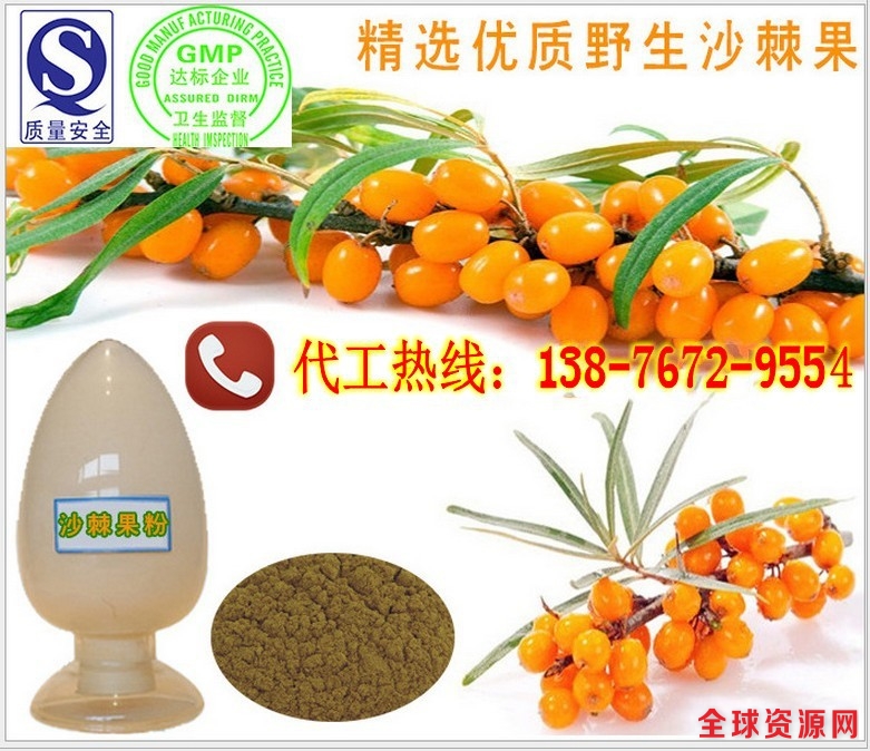 沙棘代餐粉ODM廠家  沙棘產(chǎn)品貼牌代加工廠（圖）_1