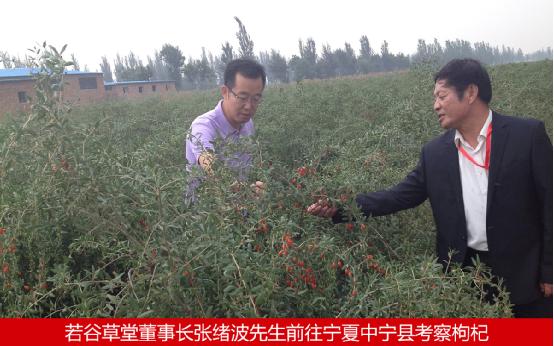 五谷健康食品品味旅途的每一道风景！（图）_1