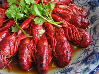 學(xué)正宗鹵龍蝦技術(shù) 長(zhǎng)沙鹵龍蝦培訓(xùn)（圖）_1