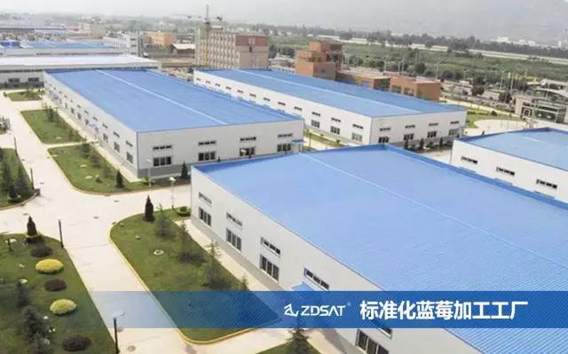 跑步可以不變老，你愛運(yùn)動(dòng)嗎？（圖）_2