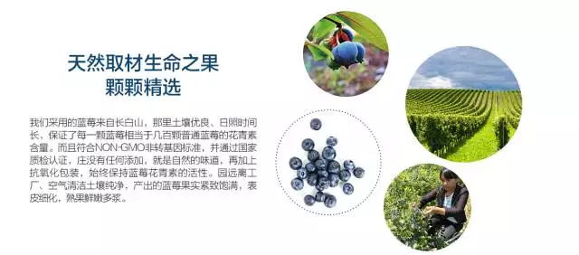 藍(lán)莓花青素飲料招商流程和要求_3