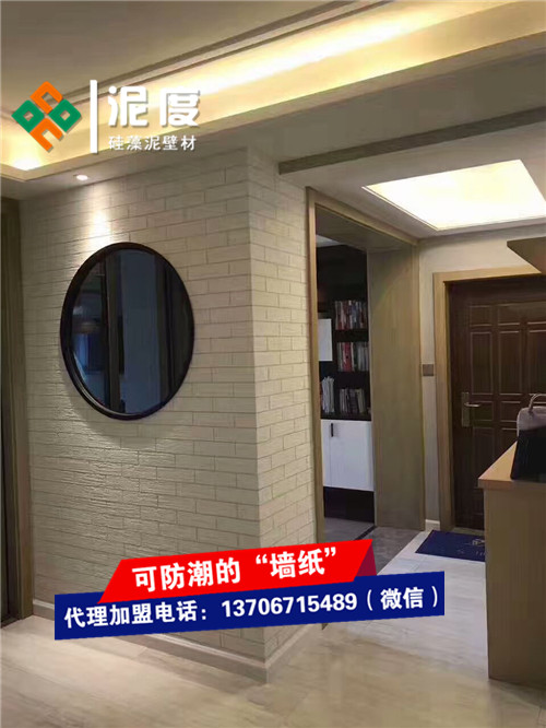 江蘇蘇州硅藻泥批發(fā) 泥度硅藻泥民宿裝修合適嗎_1